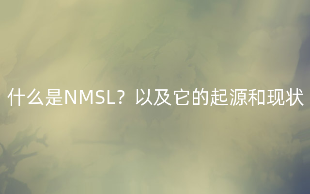 什么是NMSL？以及它的起源和现状