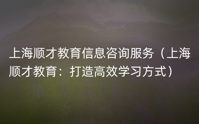 上海顺才教育信息咨询服务（上海顺才教育：打造高效学习方式）