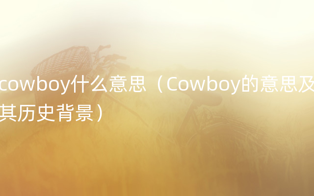 cowboy什么意思（Cowboy的意思及其历史背景）