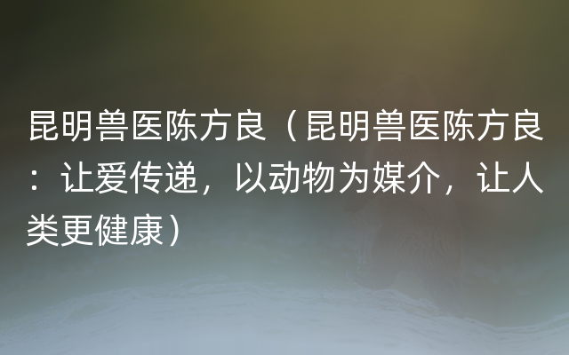 昆明兽医陈方良（昆明兽医陈方良：让爱传递，以动物为媒介，让人类更健康）