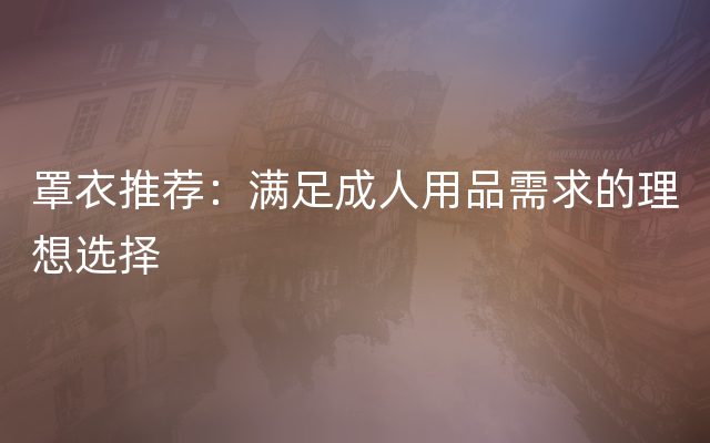 罩衣推荐：满足成人用品需求的理想选择