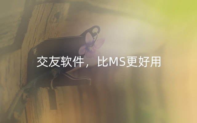 交友软件，比MS更好用