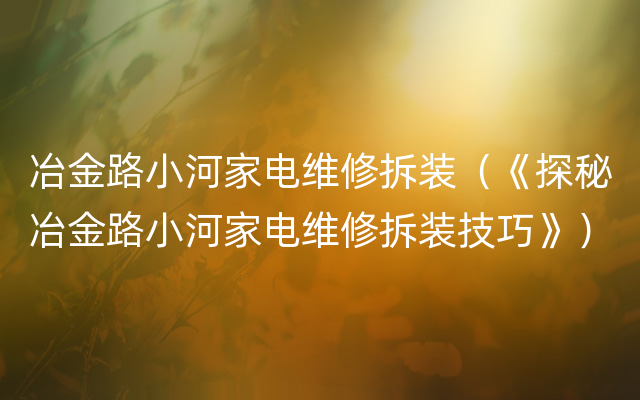 冶金路小河家电维修拆装（《探秘冶金路小河家电维修拆装技巧》）