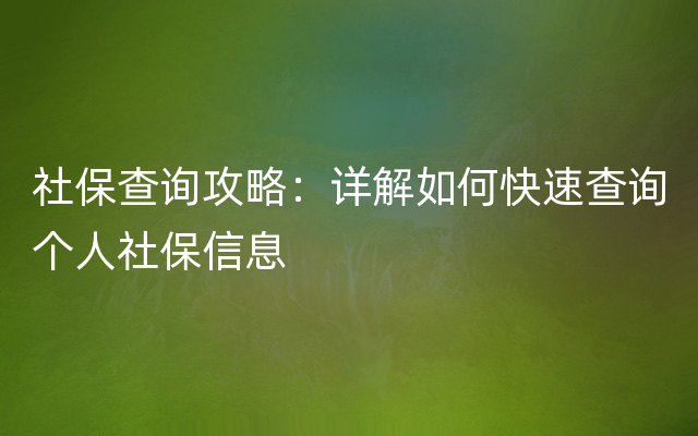 社保查询攻略：详解如何快速查询个人社保信息