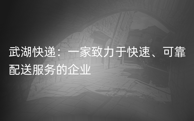 武湖快递：一家致力于快速、可靠配送服务的企业