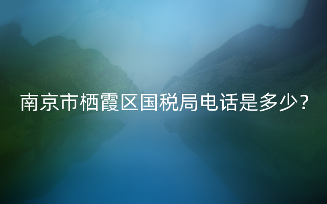 南京市栖霞区国税局电话是多少？