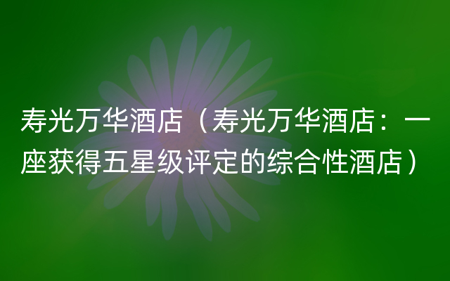 寿光万华酒店（寿光万华酒店：一座获得五星级评定的综合性酒店）