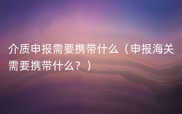 介质申报需要携带什么（申报海关需要携带什么？）