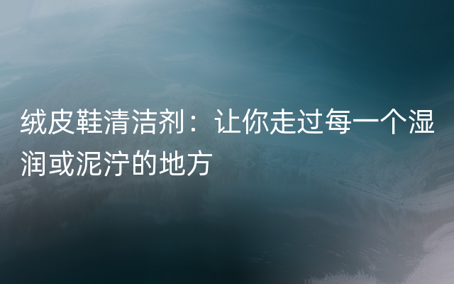 绒皮鞋清洁剂：让你走过每一个湿润或泥泞的地方