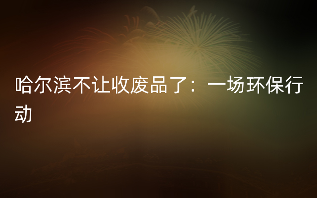 哈尔滨不让收废品了：一场环保行动