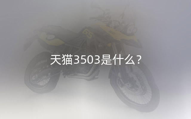 天猫3503是什么？