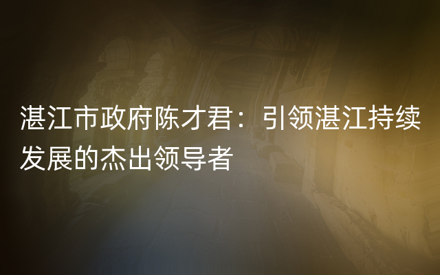 湛江市政府陈才君：引领湛江持续发展的杰出领导者