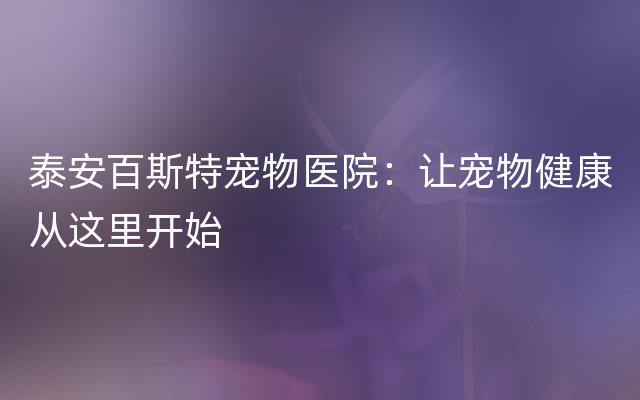 泰安百斯特宠物医院：让宠物健康从这里开始