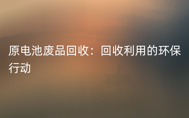 原电池废品回收：回收利用的环保行动