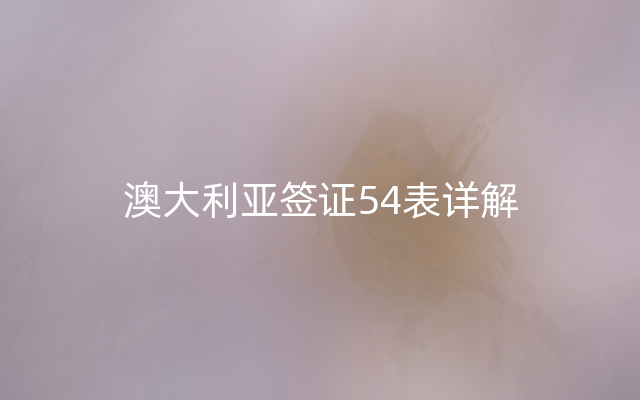 澳大利亚签证54表详解