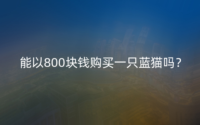 能以800块钱购买一只蓝猫吗？