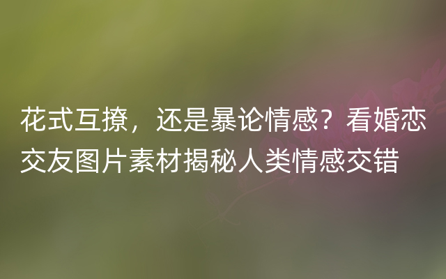 花式互撩，还是暴论情感？看婚恋交友图片素材揭秘人类情感交错