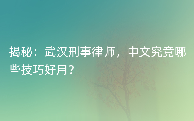 揭秘：武汉刑事律师，中文究竟哪些技巧好用？