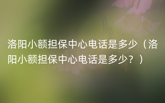 洛阳小额担保中心电话是多少（洛阳小额担保中心电话是多少？）