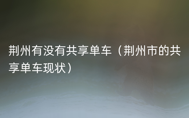 荆州有没有共享单车（荆州市的共享单车现状）