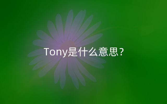 Tony是什么意思？