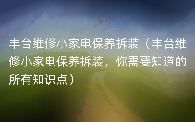 丰台维修小家电保养拆装（丰台维修小家电保养拆装，你需要知道的所有知识点）