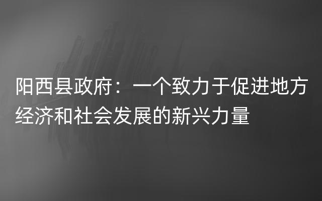 阳西县政府：一个致力于促进地方经济和社会发展的新兴力量