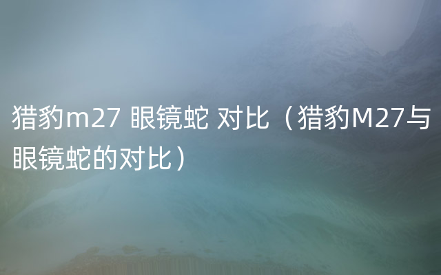 猎豹m27 眼镜蛇 对比（猎豹M27与眼镜蛇的对比）