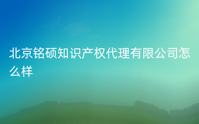 北京铭硕知识产权代理有限公司怎么样