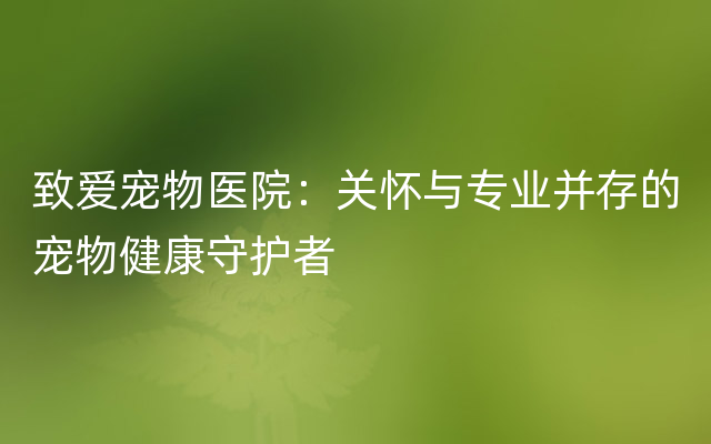 致爱宠物医院：关怀与专业并存的宠物健康守护者