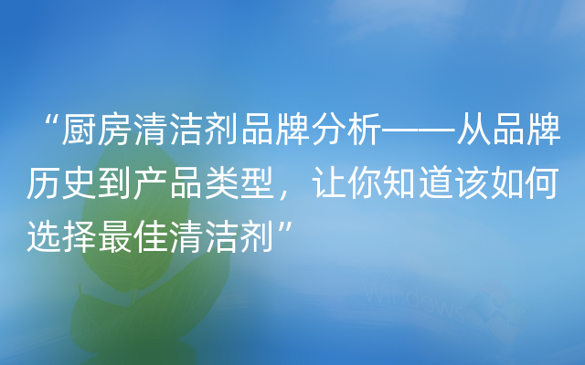 “厨房清洁剂品牌分析——从品牌历史到产品类型，让你知道该如何选择最佳清洁剂”