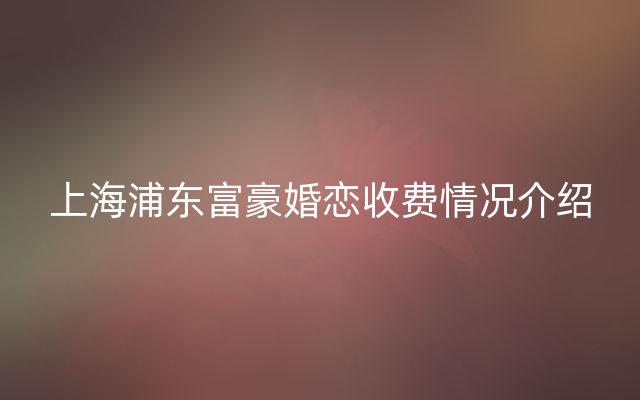 上海浦东富豪婚恋收费情况介绍