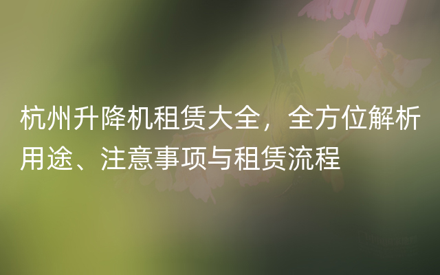 杭州升降机租赁大全，全方位解析用途、注意事项与租赁流程