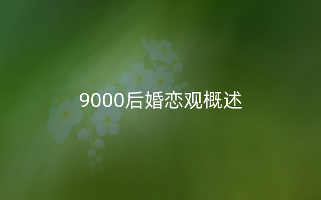 9000后婚恋观概述