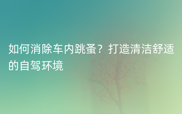 如何消除车内跳蚤？打造清洁舒适的自驾环境