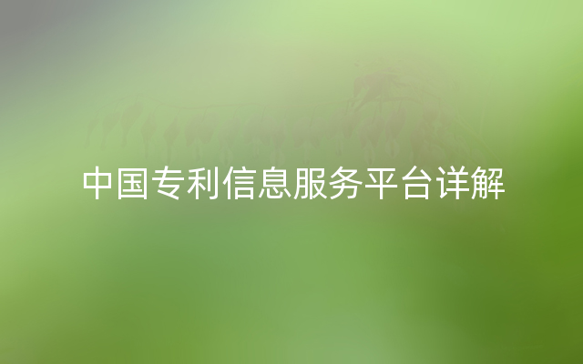 中国专利信息服务平台详解