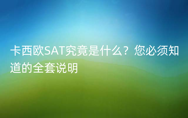 卡西欧SAT究竟是什么？您必须知道的全套说明