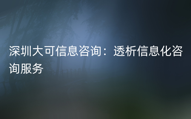 深圳大可信息咨询：透析信息化咨询服务