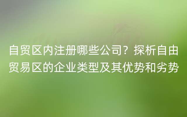 自贸区内注册哪些公司？探析自由贸易区的企业类型