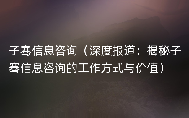 子骞信息咨询（深度报道：揭秘子骞信息咨询的工作方式与价值）