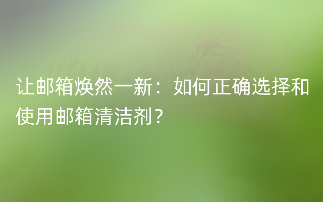 让邮箱焕然一新：如何正确选择和使用邮箱清洁剂？