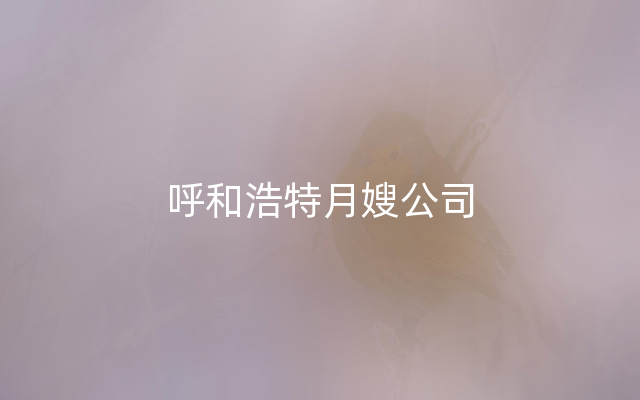 呼和浩特月嫂公司