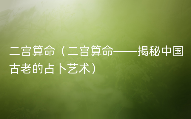 二宫算命（二宫算命——揭秘中国古老的占卜艺术）