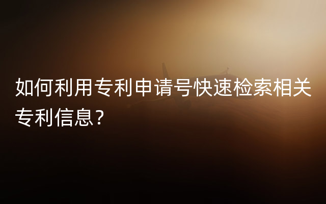 如何利用专利申请号快速检索相关专利信息？