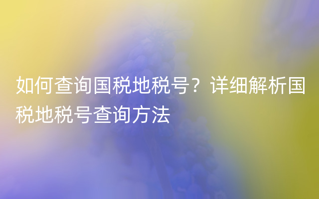 如何查询国税地税号？详细解析国税地税号查询方法