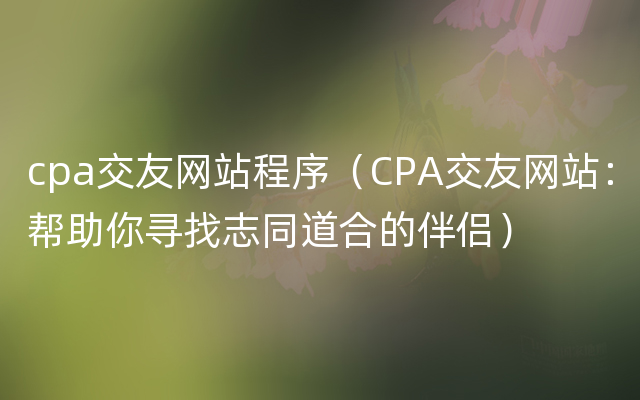 cpa交友网站程序（CPA交友网站：帮助你寻找志同道合的伴侣）