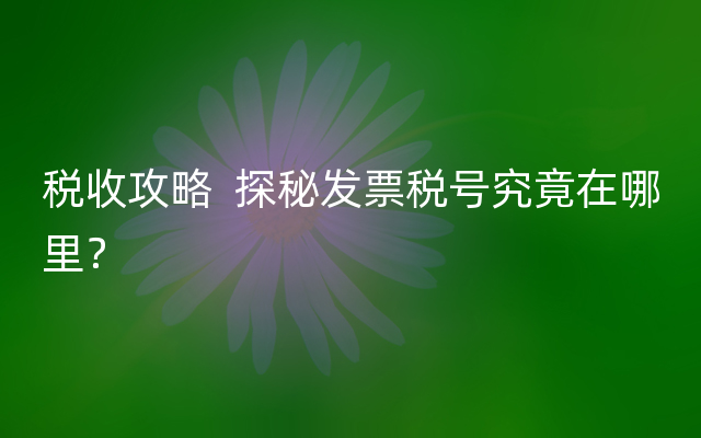 税收攻略  探秘发票税号究竟在哪里？