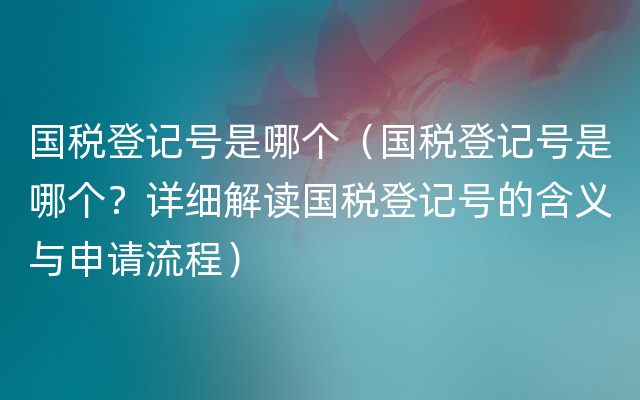 国税登记号是哪个（国税登记号是哪个？详细解读国税登记号的含义与申请流程）