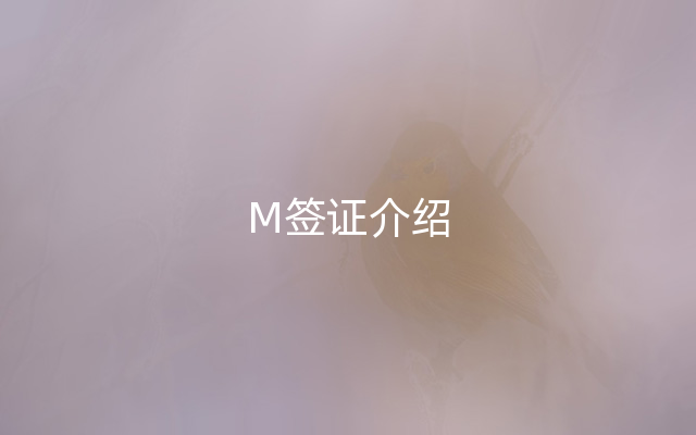 M签证介绍