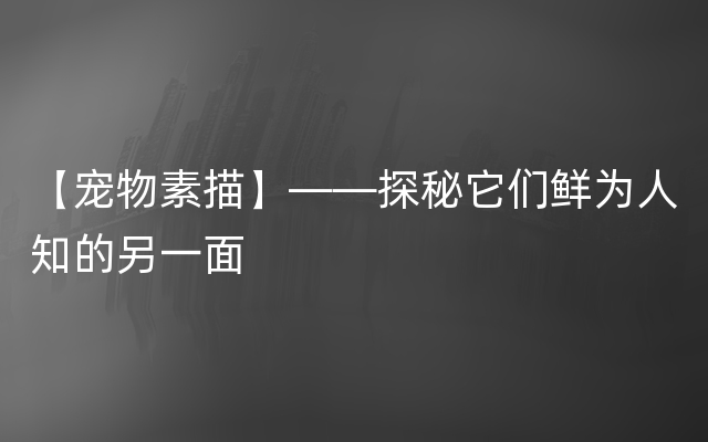 【宠物素描】——探秘它们鲜为人知的另一面